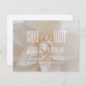 Elegante Witte Bloemen Huwelijkshimmer Save the Da Save The Date (Voorkant / Achterkant)