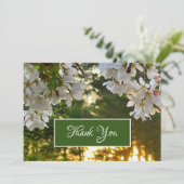 Elegante witte bloemenboomknoppen zonsopgang kaart (Staand voorkant)