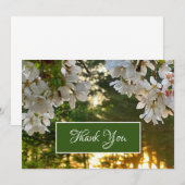 Elegante witte bloemenboomknoppen zonsopgang kaart (Voorkant / Achterkant)