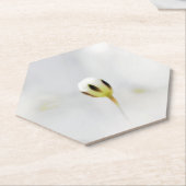 Elegante witte bloemknop papier coaster kartonnen onderzetters (Schuin)