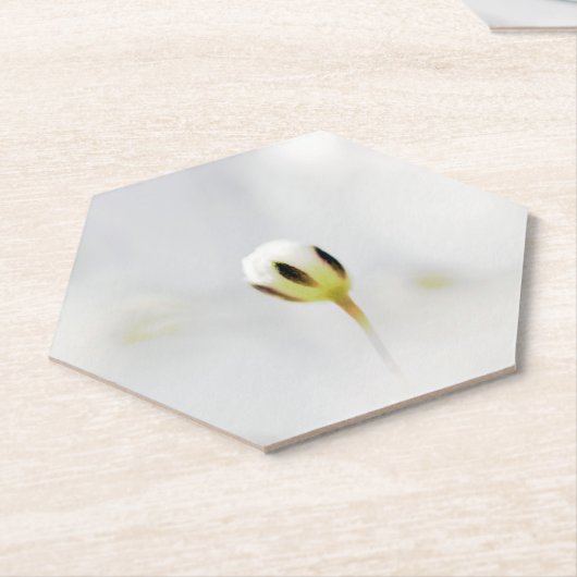 Elegante witte bloemknop papier coaster kartonnen onderzetters (Schuin)