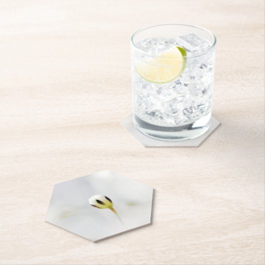 Elegante witte bloemknop papier coaster kartonnen onderzetters (Insitu)