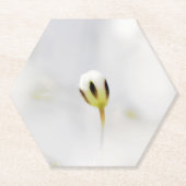 Elegante witte bloemknop papier coaster kartonnen onderzetters (Voorkant)