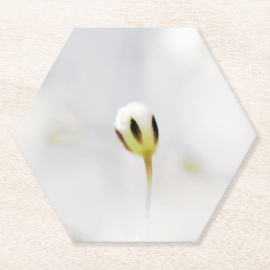 Elegante witte bloemknop papier coaster kartonnen onderzetters (Voorkant)