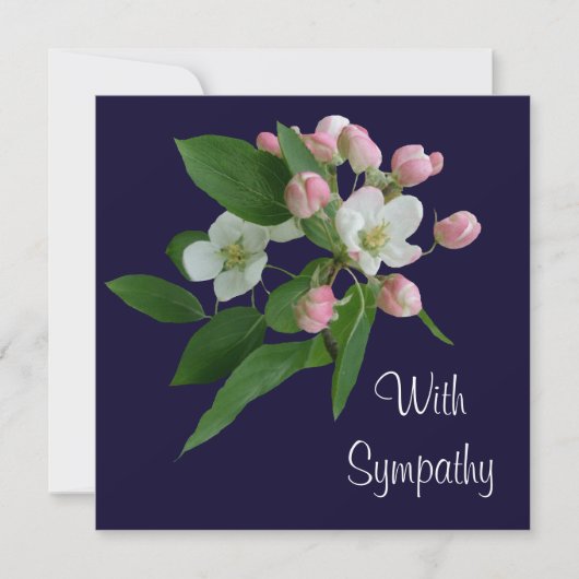 Elegante witte bloesem bloem fijne kunst sympathie kaart (Voorkant)