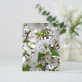 Elegante witte bloesem foto briefkaart (Staand voorkant)