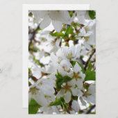 Elegante witte bloesem foto briefpapier (Voorkant / Achterkant)