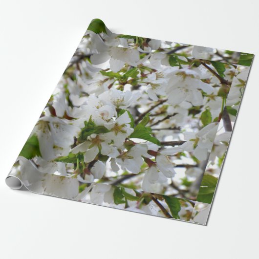 Elegante witte bloesem foto cadeaupapier (Uitgerold)
