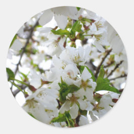 Elegante witte bloesem foto ronde sticker