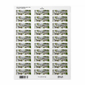 Elegante witte bloesem witte bloeiende boom etiket (Full Sheet)