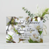 Elegante witte bloesems bloeiende kersenboom kaart (Staand voorkant)