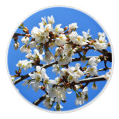 Elegante witte bloesems keramische knop (Voorkant)