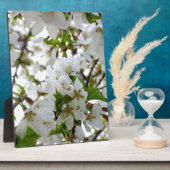 Elegante witte bloesems witte bloemen witte bloeme fotoplaat (Zijkant)