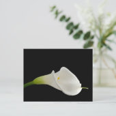 Elegante witte calla lelie briefkaart (Staand voorkant)