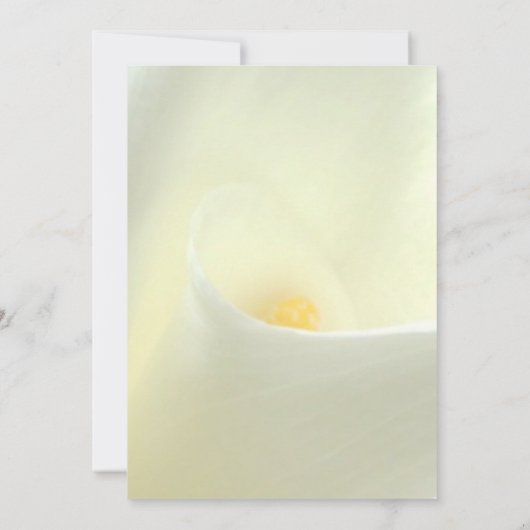 Elegante witte Calla-lelie verlovingsuitnodiging Kaart (Achterkant)