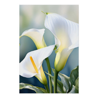 Elegante Witte Calla Lelie Waterverf Botanische Mu Perfect Poster