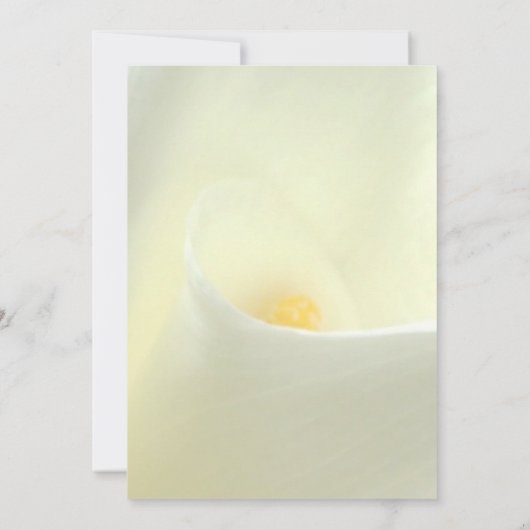 Elegante witte Calla Lily bruiloft uitnodiging (Achterkant)