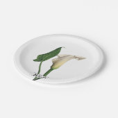 Elegante witte Calla Lily Groene Botanische Bruilo Papieren Bordje (Gekanteld)