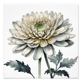 Elegante witte chrysant Waterverf Foto Afdruk (Voorkant)