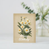 Elegante Witte Daisy Flower Happy Birthday Briefkaart (Staand voorkant)