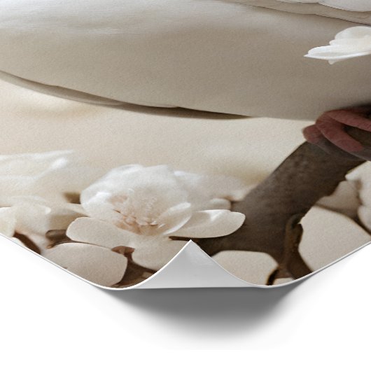 Elegante witte duif poster (Hoek)