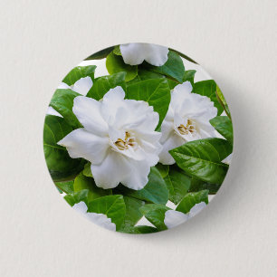 : "Elegante witte Gardenia Flowers Button