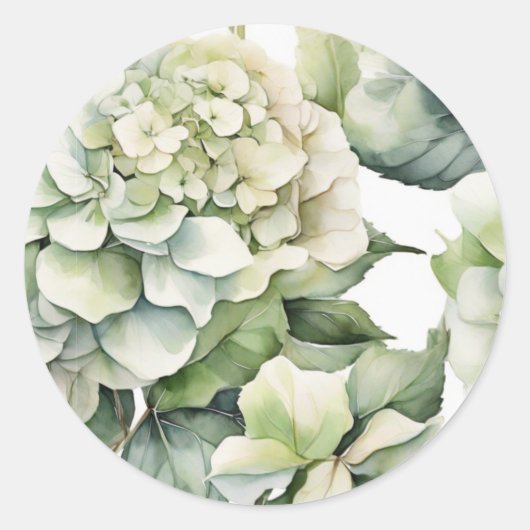 Elegante witte groene waterverf bloemenhortensia's ronde sticker (Voorkant)