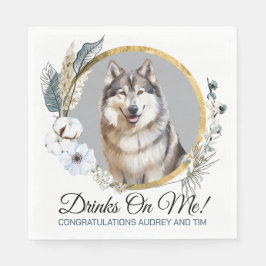 Elegante witte hibiscus Alaskan Malamute-hond foto Servet