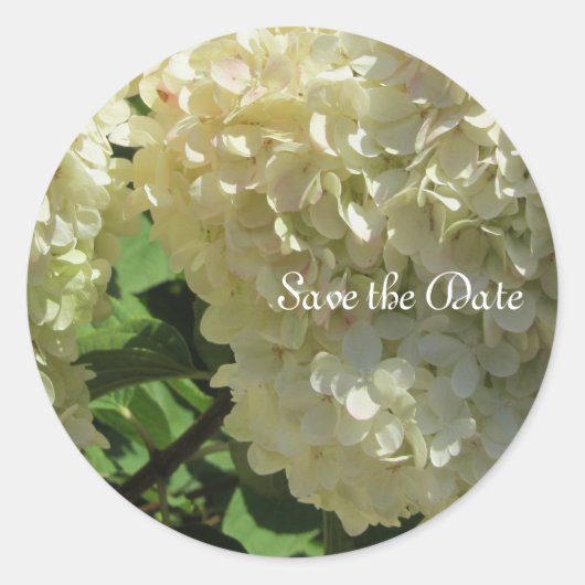 Elegante Witte Hortensia's Ronde Sticker (Voorkant)