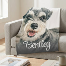 Elegante witte huisdierportret gepersonaliseerde n