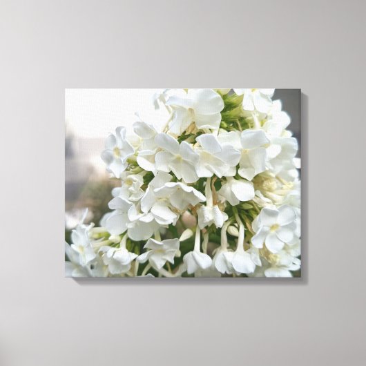 Elegante witte Hydrangea bloemschildering op canva Canvas Afdruk (Voorkant)