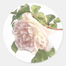 Elegante witte Ivoor Rozen Ronde Sticker
