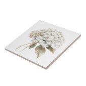 Elegante witte ivoren hortensia frans land tegeltje (Zijkant)