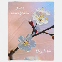 Elegante Witte Japanse Abrikozenbloesems