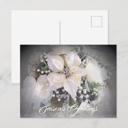 Elegante witte kerst poinsettia briefkaart (Voorkant / Achterkant)