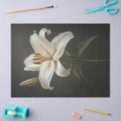 Elegante witte lelie decoupage tissuepapier (Craft)