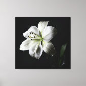 Elegante witte lelie verpakte canvas print (Voorkant)