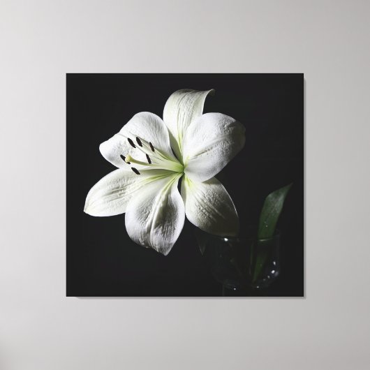Elegante witte lelie verpakte canvas print (Voorkant)