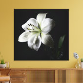 Elegante witte lelie verpakte canvas print (Insitu (Woonkamer))
