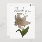 Elegante  witte leliebloem Bedankt Briefkaart (Voorkant / Achterkant)