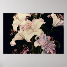 Elegante Witte Lelies op Zwarte Achtergrond Bloems Poster