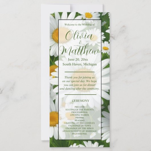 Elegante witte madeliefjes witte bloemenvelden (Voorkant)