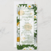 Elegante witte madeliefjes witte bloemenvelden gro (Achterkant)