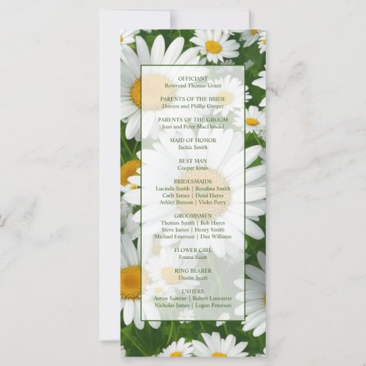 Elegante witte madeliefjes witte bloemenvelden gro (Achterkant)