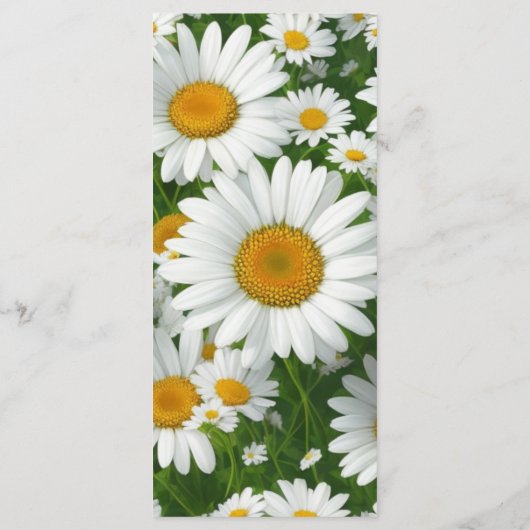 Elegante witte madeliefjes witte bloemenvelden gro menu (Achterkant)