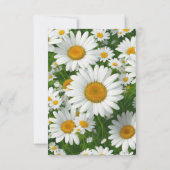 Elegante witte madeliefjes witte bloemenvelden gro RSVP kaartje (Achterkant)