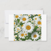 Elegante witte madeliefjes witte bloemenvelden gro save the date (Achterkant)