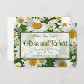 Elegante witte madeliefjes witte bloemenvelden gro save the date (Voorkant / Achterkant)