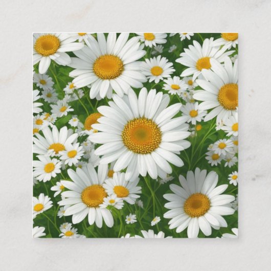 Elegante witte madeliefjes witte bloemenvelden QR  Informatiekaartje (Achterkant)