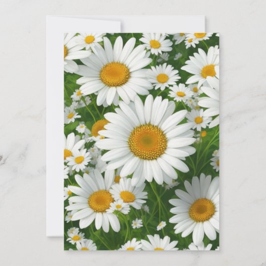 Elegante witte madeliefjes witte bloemenvelden Tro Kaart (Achterkant)